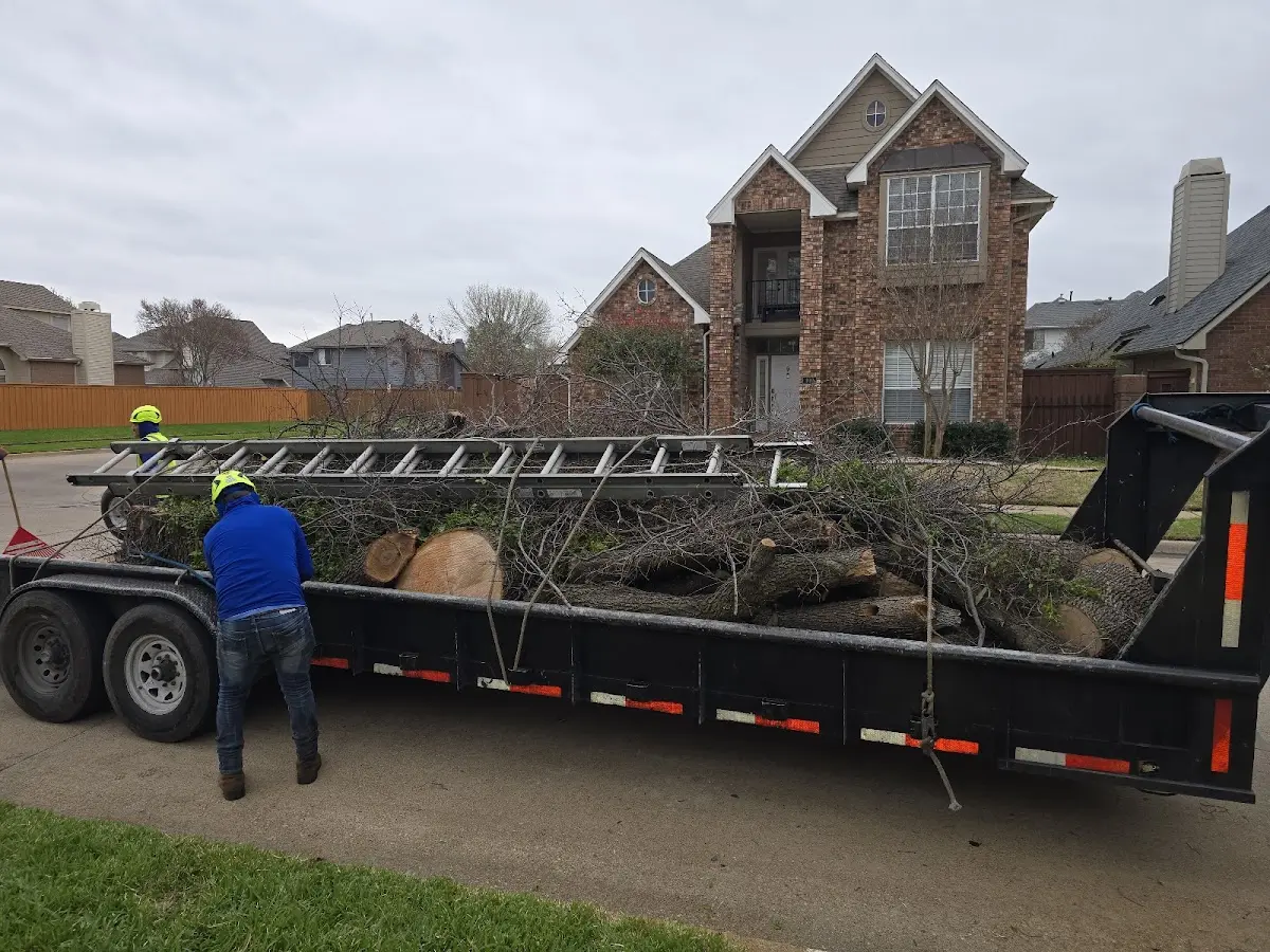 Expert Tree Removal with proper safety equipment in Stockport